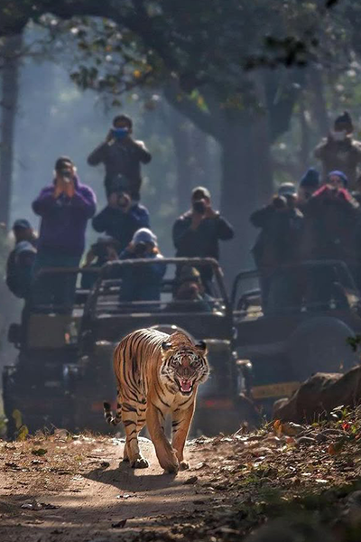 Jim Corbett Tour Package